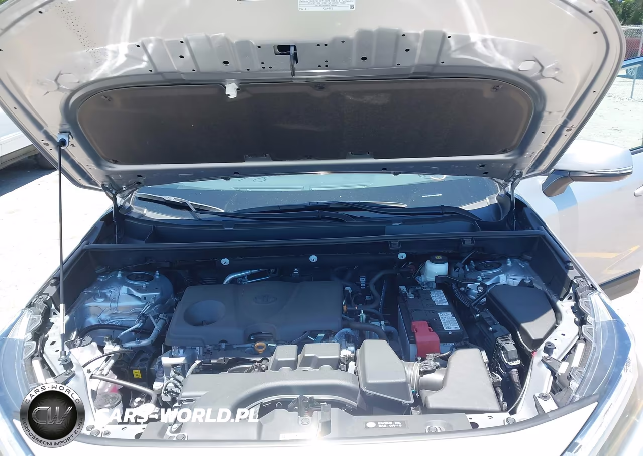2025 Toyota Rav4 Xle VIN:2T3W1RFV1SC345598 - 10