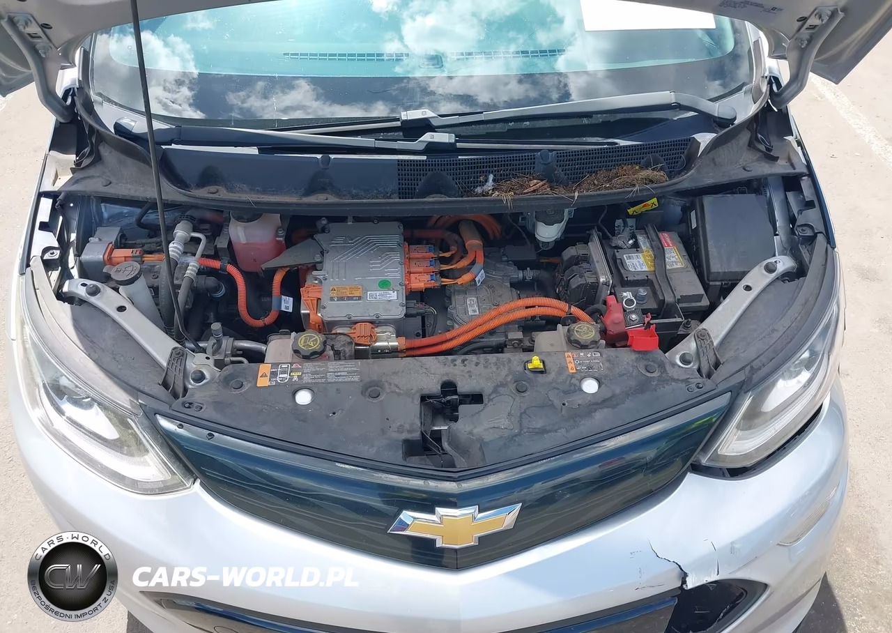 2018 Chevrolet Bolt Ev Premier VIN:1G1FX6S04J4115791 - 10