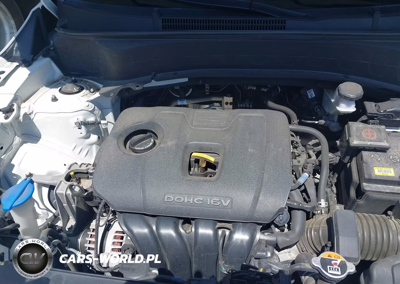 2024 Kia Seltos S VIN:KNDEU2AA1R7497299 - 10