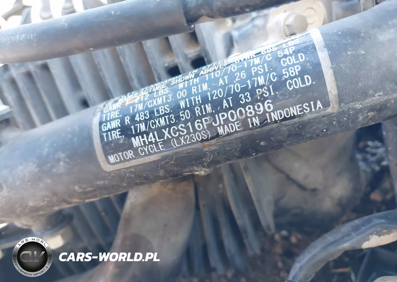 2023 Kawasaki Klx230 S VIN:MH4LXCS16PJP00896 - 10