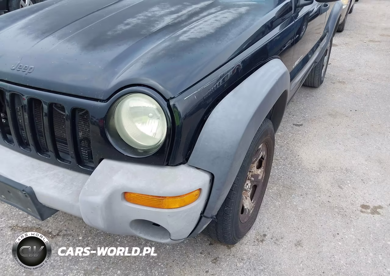 2004 Jeep Liberty Sport VIN:1J4GK48K14W257154 - 6
