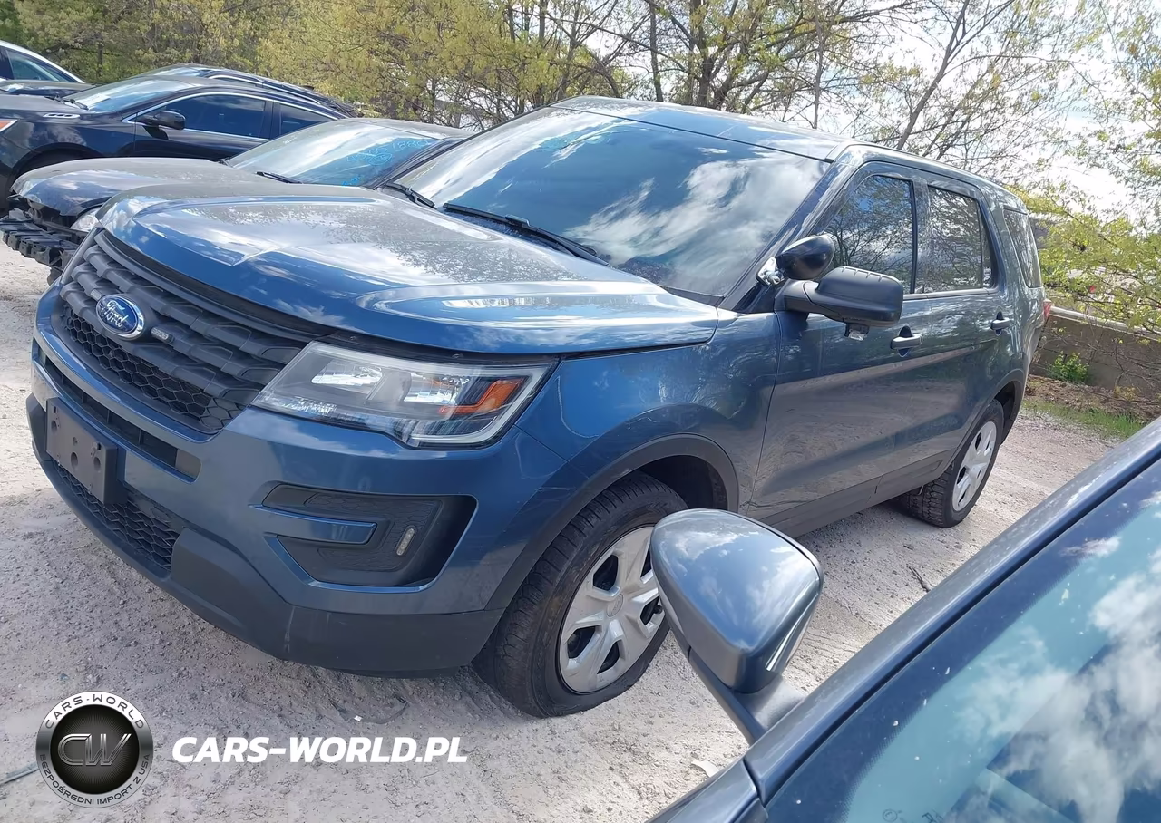 2019 Ford Police Interceptor Utility VIN:1FM5K8AR5KGA78808 - 2