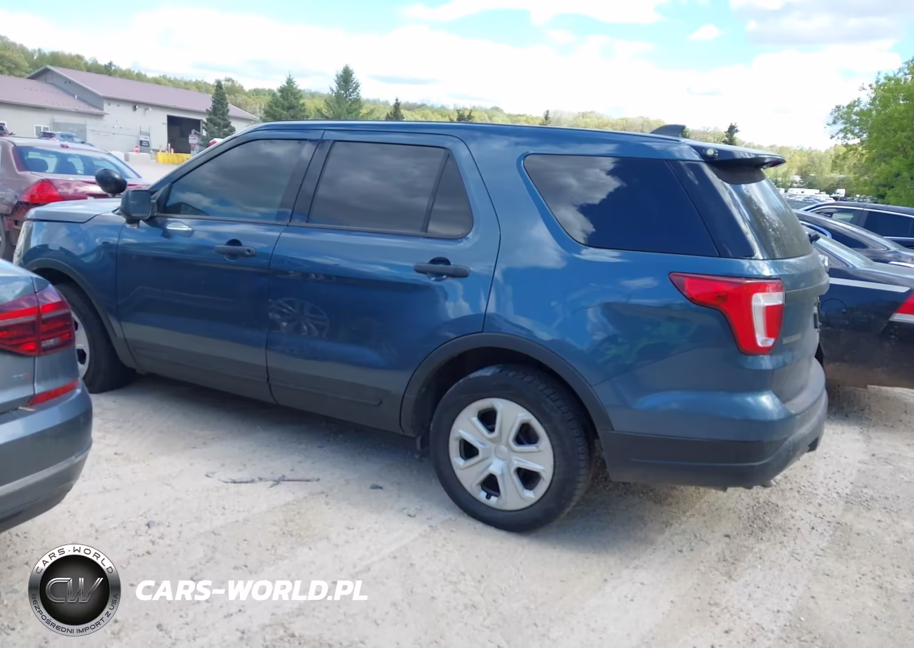 2019 Ford Police Interceptor Utility VIN:1FM5K8AR5KGA78808 - 3