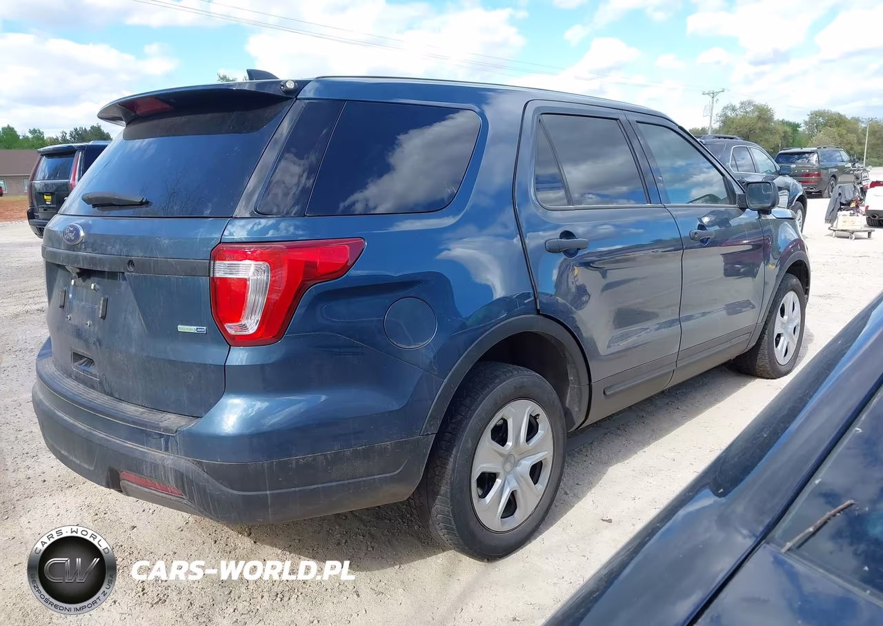 2019 Ford Police Interceptor Utility VIN:1FM5K8AR5KGA78808 - 4