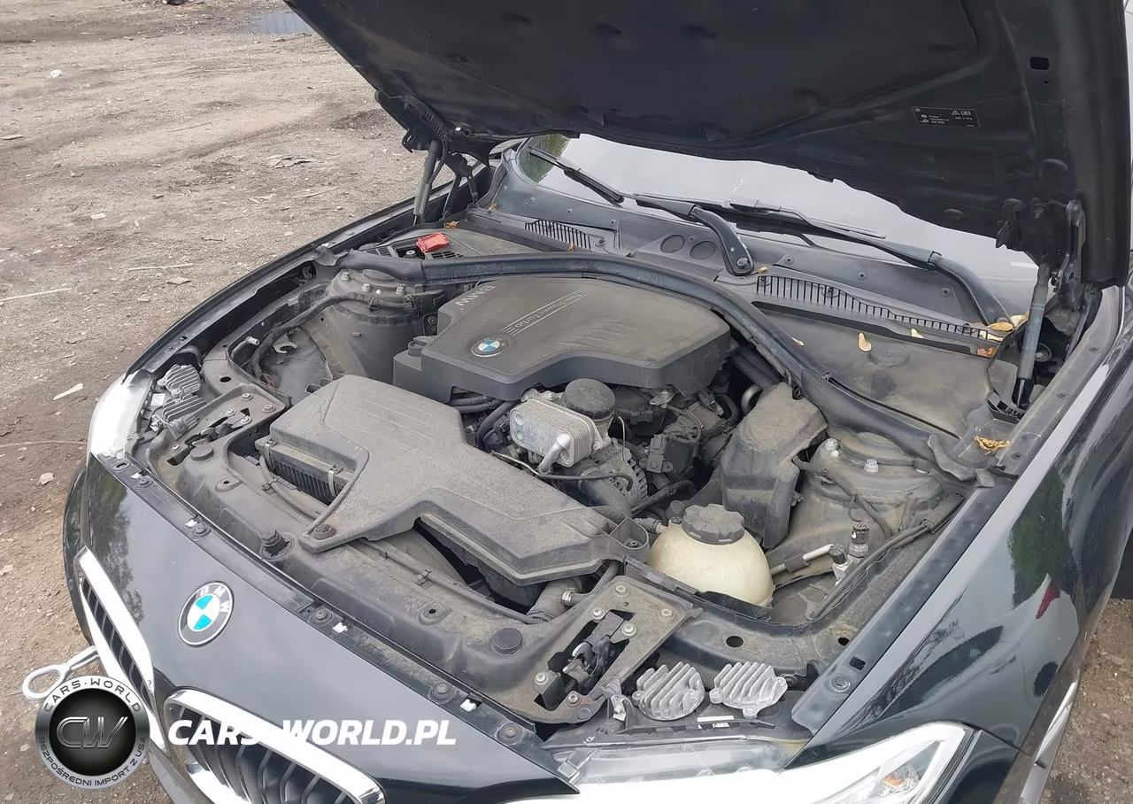 2015 BMW 228I xDrive VIN:WBA1F7C5XFV367516 - 10