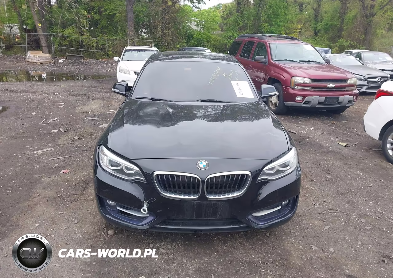 2015 BMW 228I xDrive VIN:WBA1F7C5XFV367516 - 12