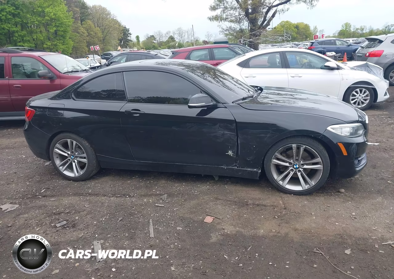 2015 BMW 228I xDrive VIN:WBA1F7C5XFV367516 - 13