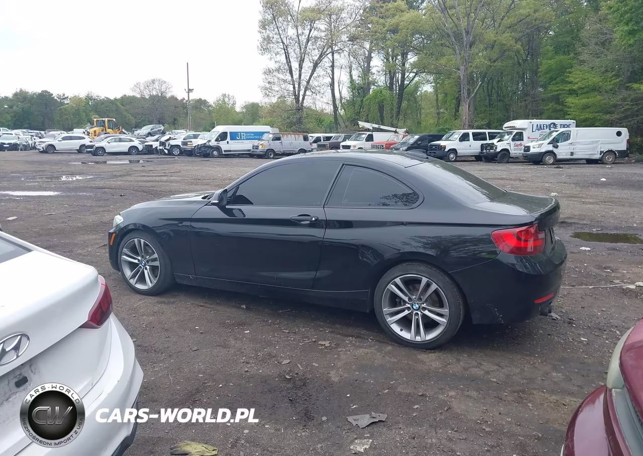2015 BMW 228I xDrive VIN:WBA1F7C5XFV367516 - 14