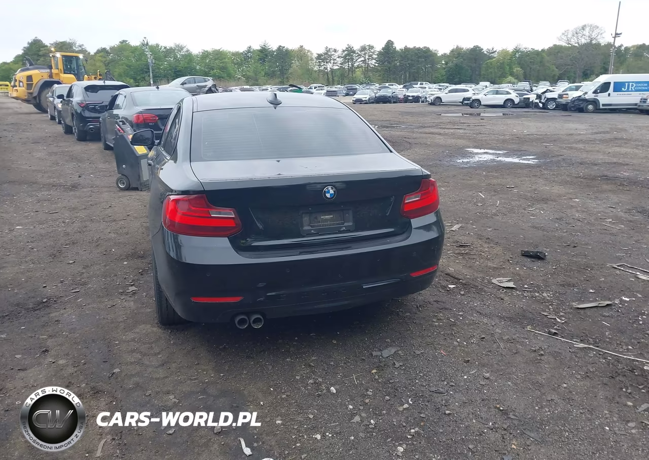 2015 BMW 228I xDrive VIN:WBA1F7C5XFV367516 - 16
