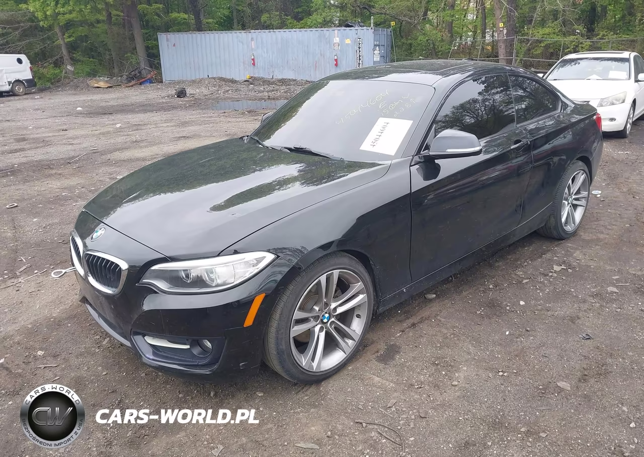 2015 BMW 228I xDrive VIN:WBA1F7C5XFV367516 - 2