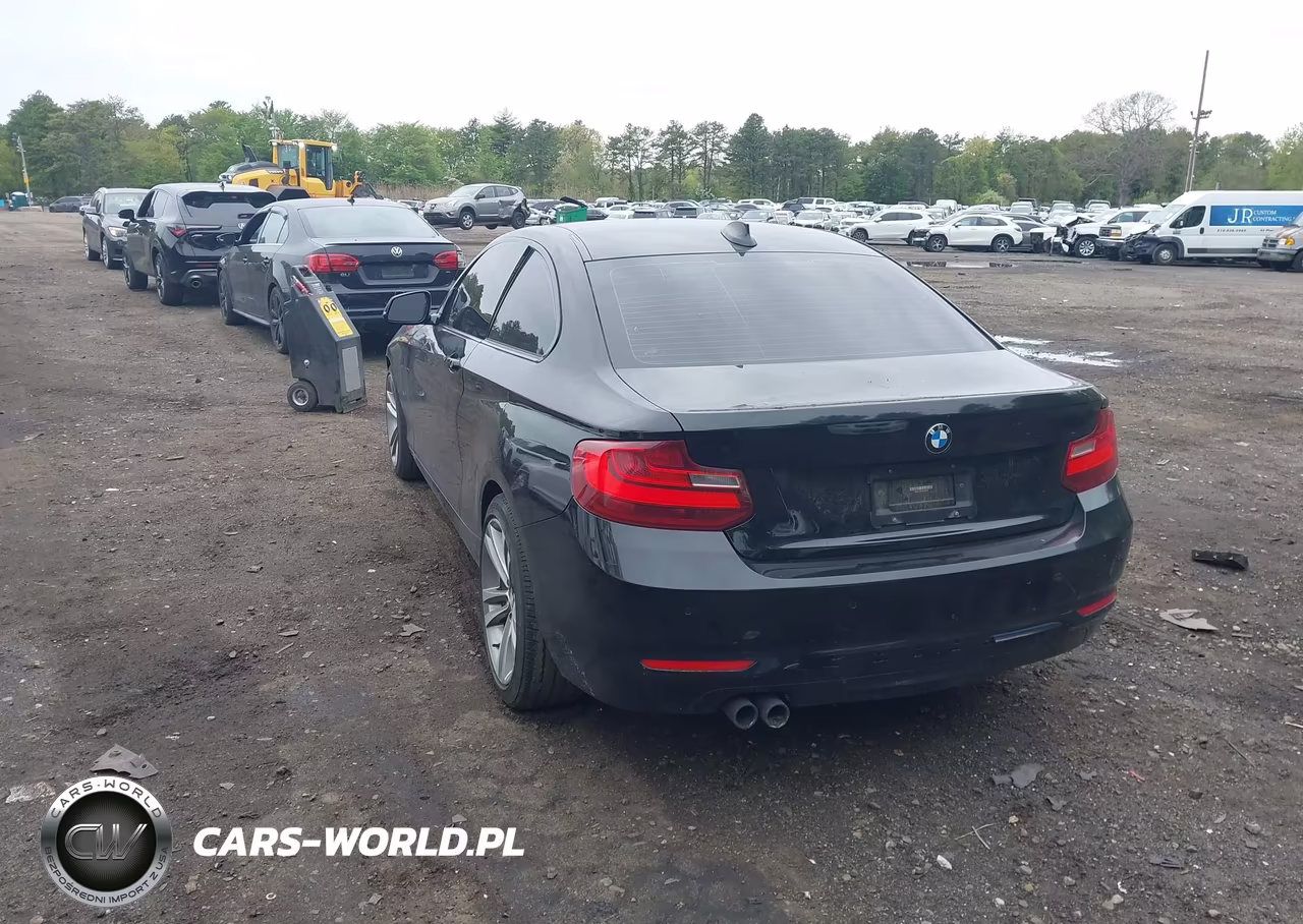 2015 BMW 228I xDrive VIN:WBA1F7C5XFV367516 - 3