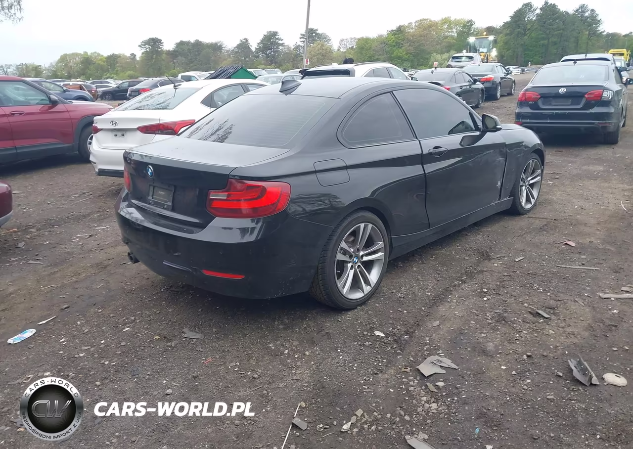 2015 BMW 228I xDrive VIN:WBA1F7C5XFV367516 - 4