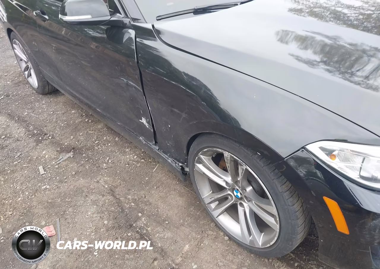2015 BMW 228I xDrive VIN:WBA1F7C5XFV367516 - 6