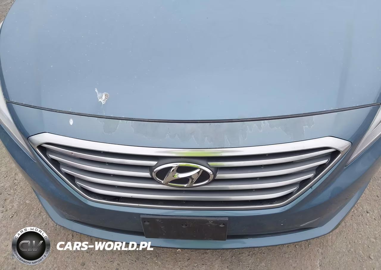 2015 Hyundai Sonata Se VIN:5NPE24AF4FH207223 - 12