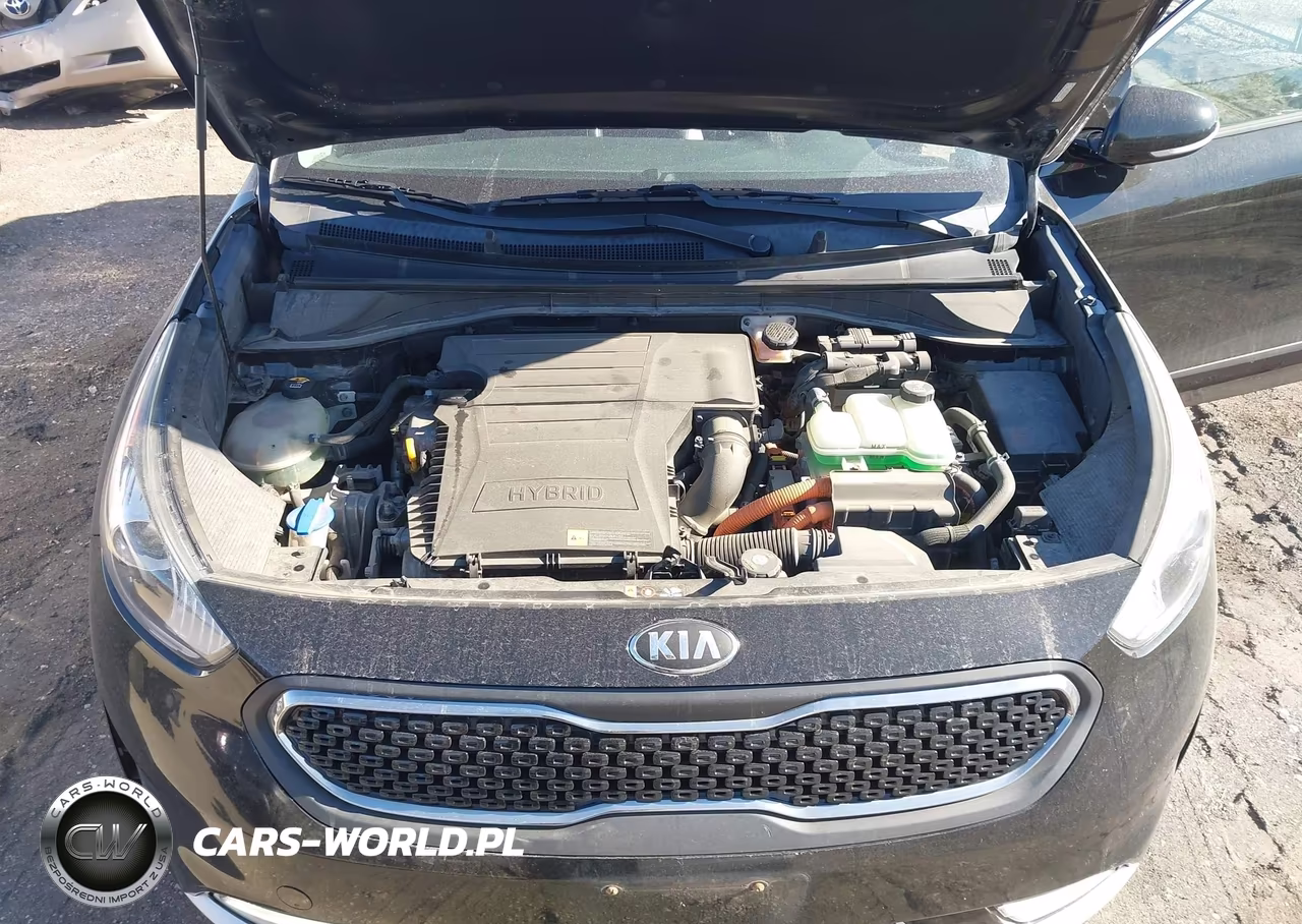 2017 Kia Niro Ex VIN:KNDCC3LC0H5069524 - 10