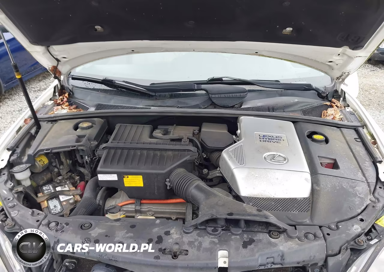 2008 Lexus Rx 400H VIN:JTJHW31U382069041 - 10