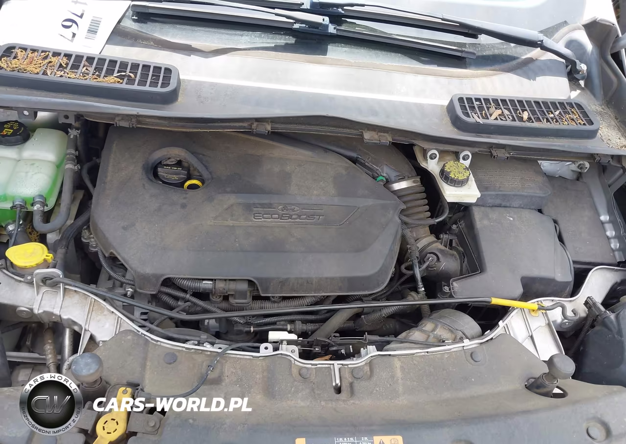 2014 Ford Escape Se VIN:1FMCU0GX5EUB69608 - 10