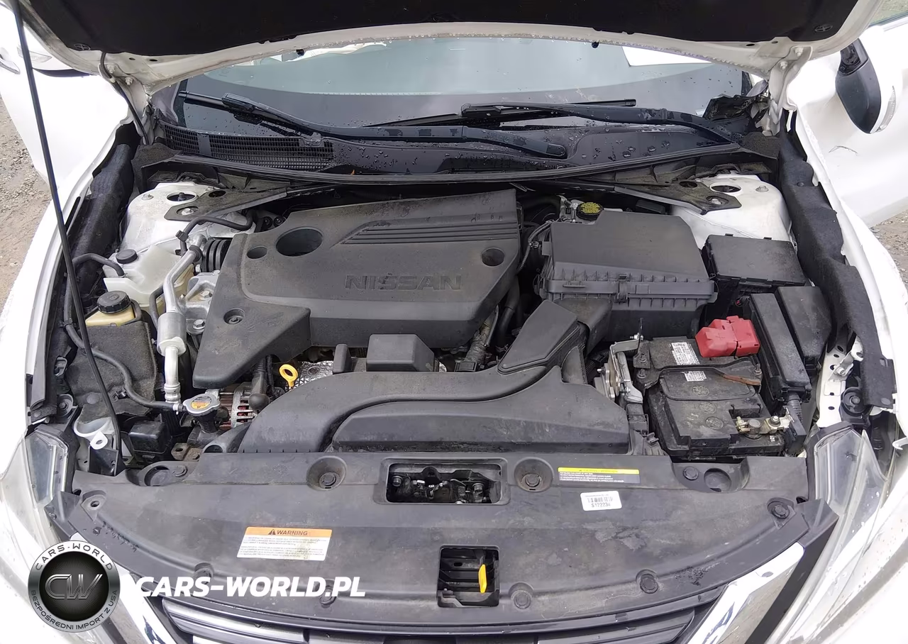 2018 Nissan Altima 2.5 Sl VIN:1N4AL3APXJC241689 - 10