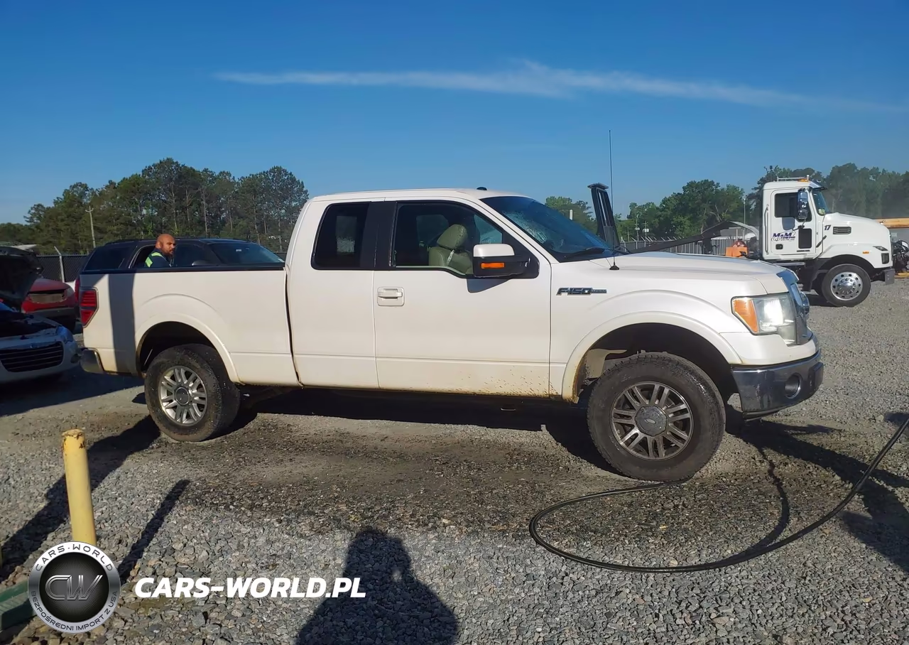 2010 Ford F-150 Fx2 Sport-Lariat-Xl-Xlt VIN:1FTFX1CV8AFA68807 - 13