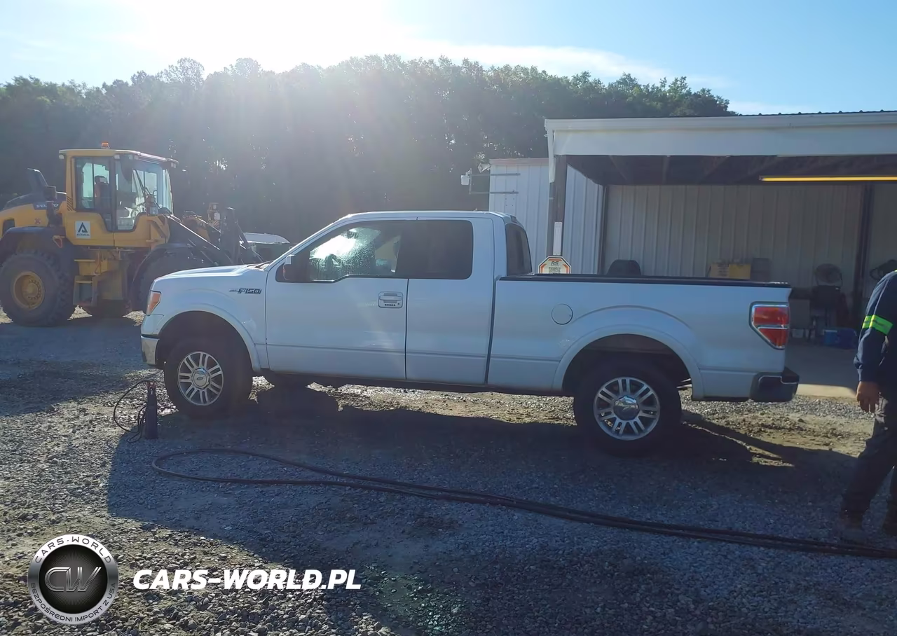 2010 Ford F-150 Fx2 Sport-Lariat-Xl-Xlt VIN:1FTFX1CV8AFA68807 - 14