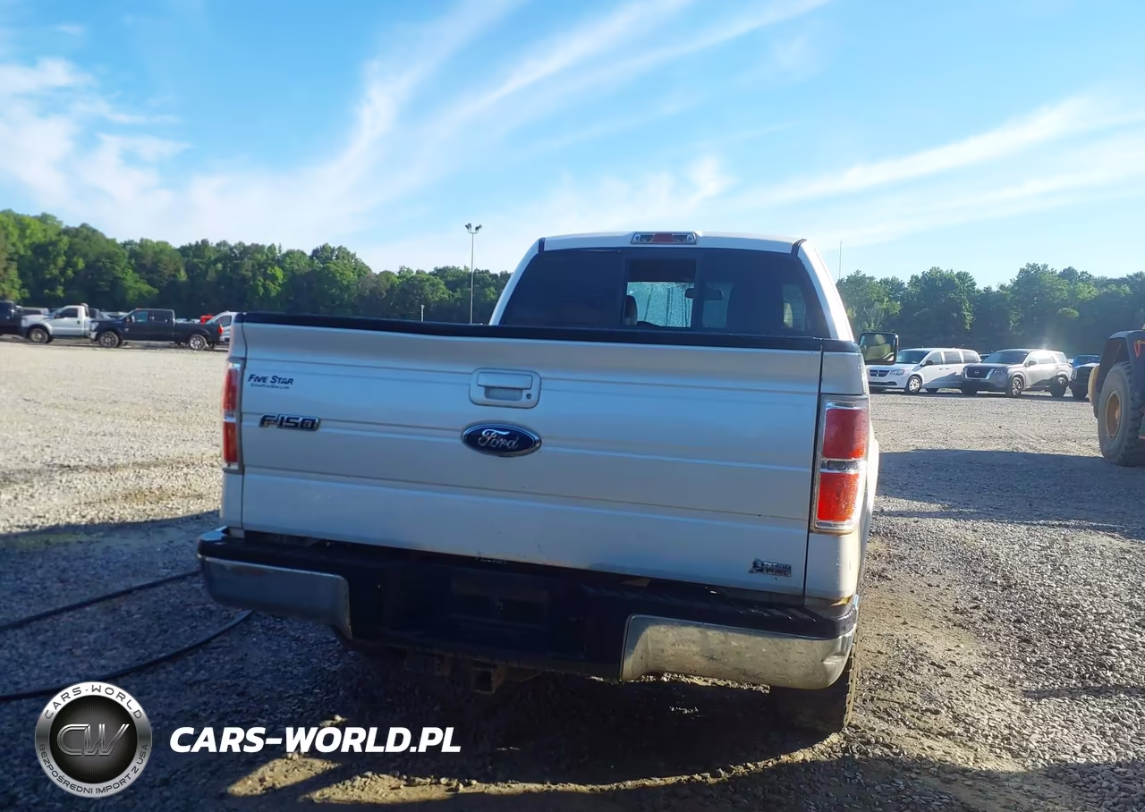 2010 Ford F-150 Fx2 Sport-Lariat-Xl-Xlt VIN:1FTFX1CV8AFA68807 - 16