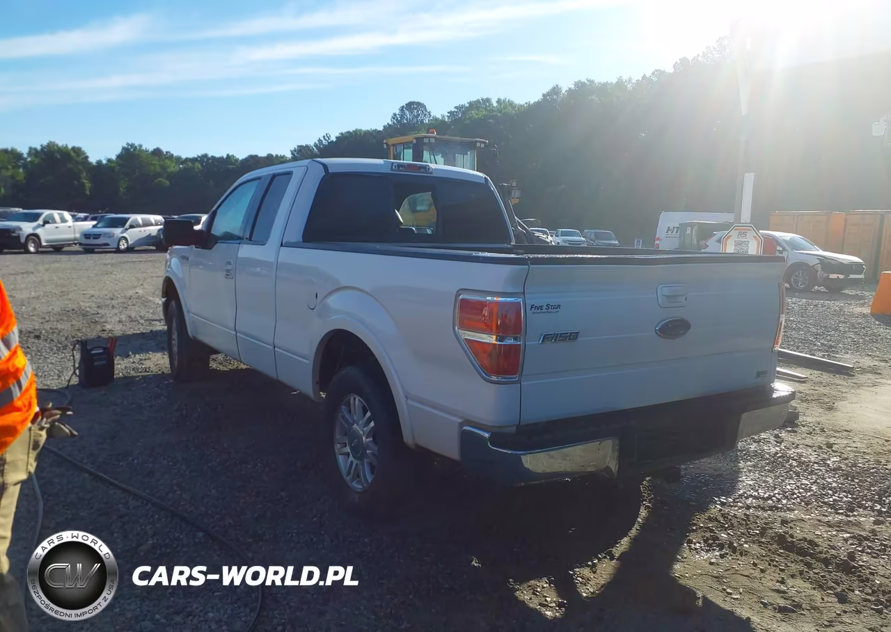 2010 Ford F-150 Fx2 Sport-Lariat-Xl-Xlt VIN:1FTFX1CV8AFA68807 - 3
