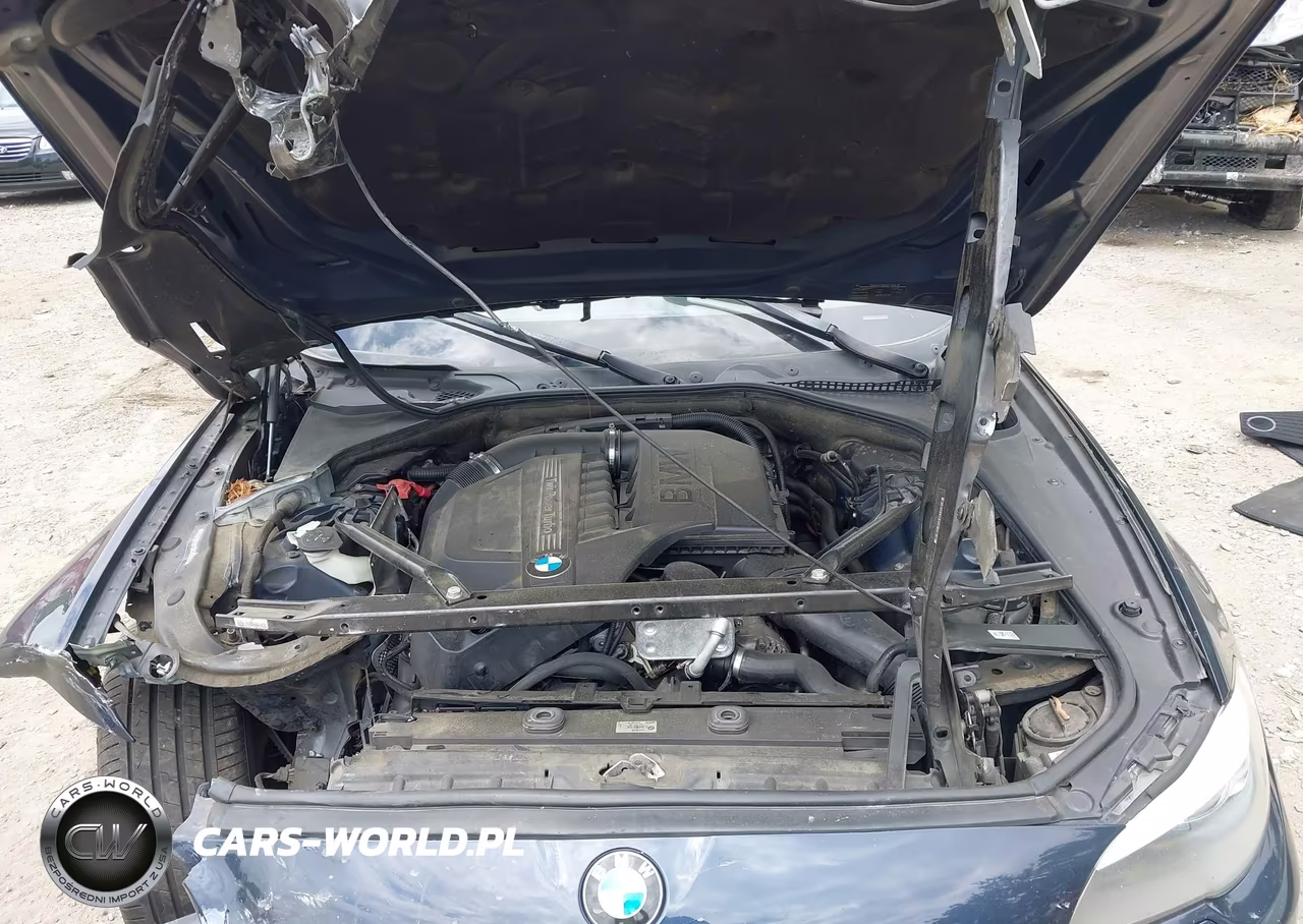 2013 BMW 535I VIN:WBAFR7C51DC824638 - 10