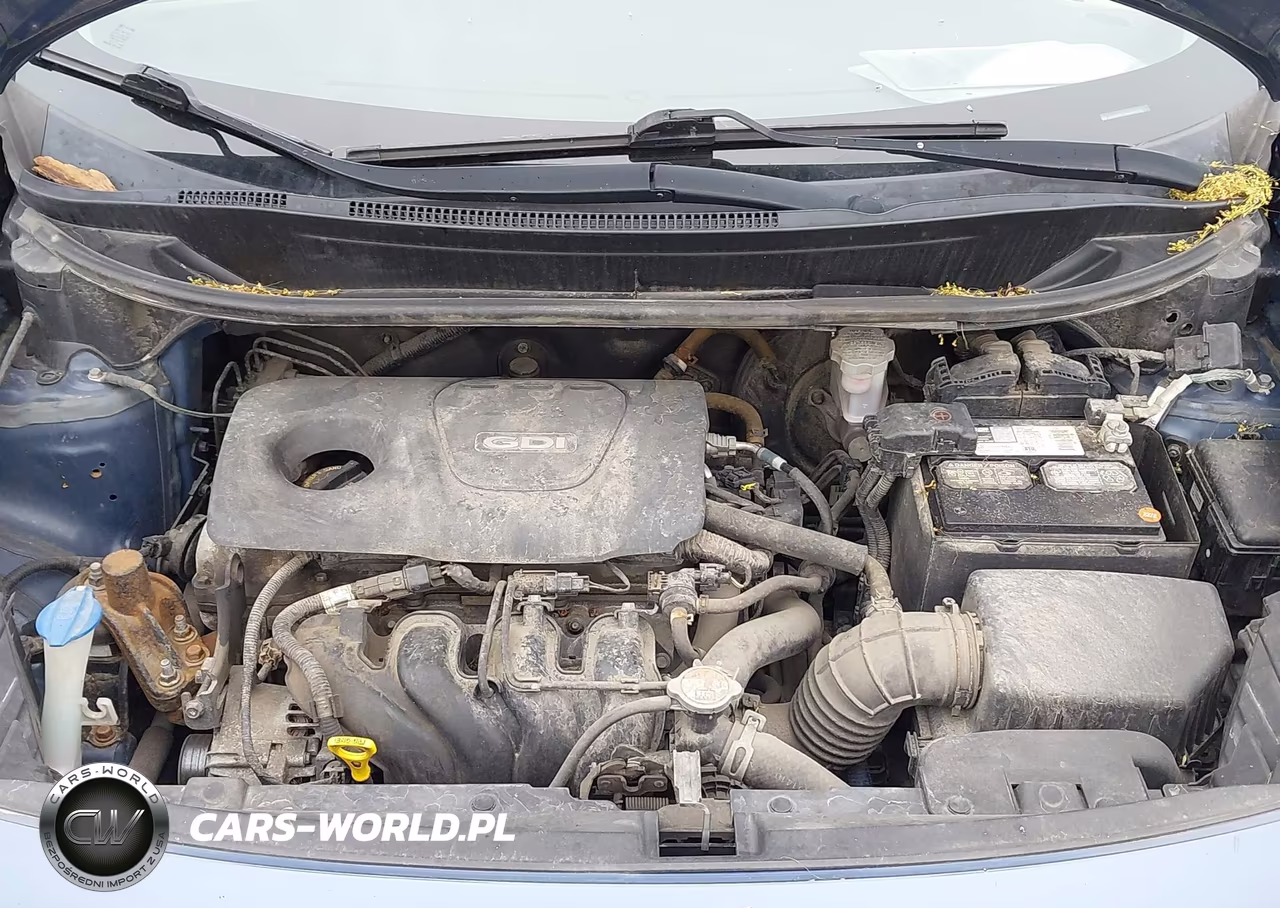 2016 Kia Rio Lx VIN:KNADM4A32G6637675 - 10