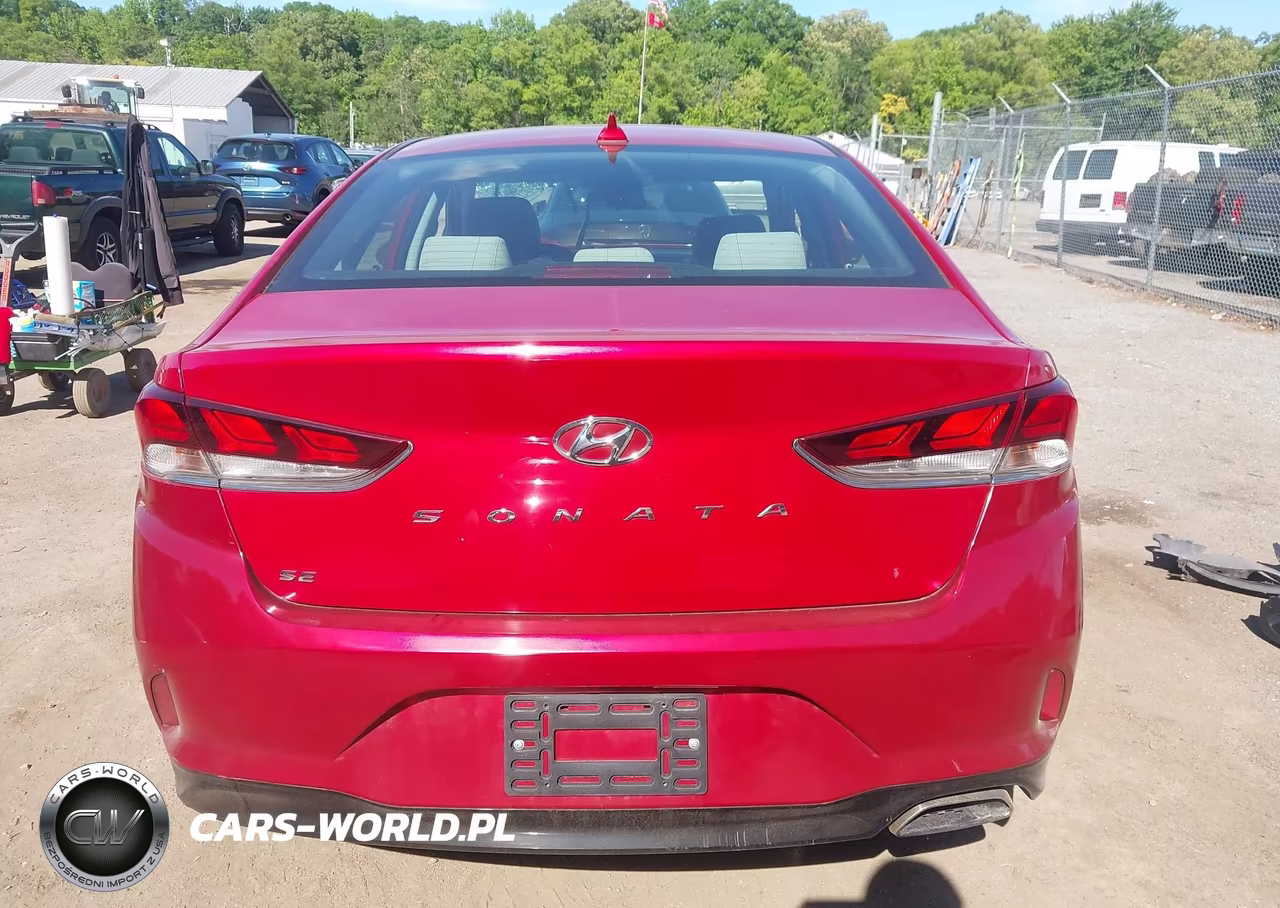 2019 Hyundai Sonata Se VIN:5NPE24AF9KH798420 - 16