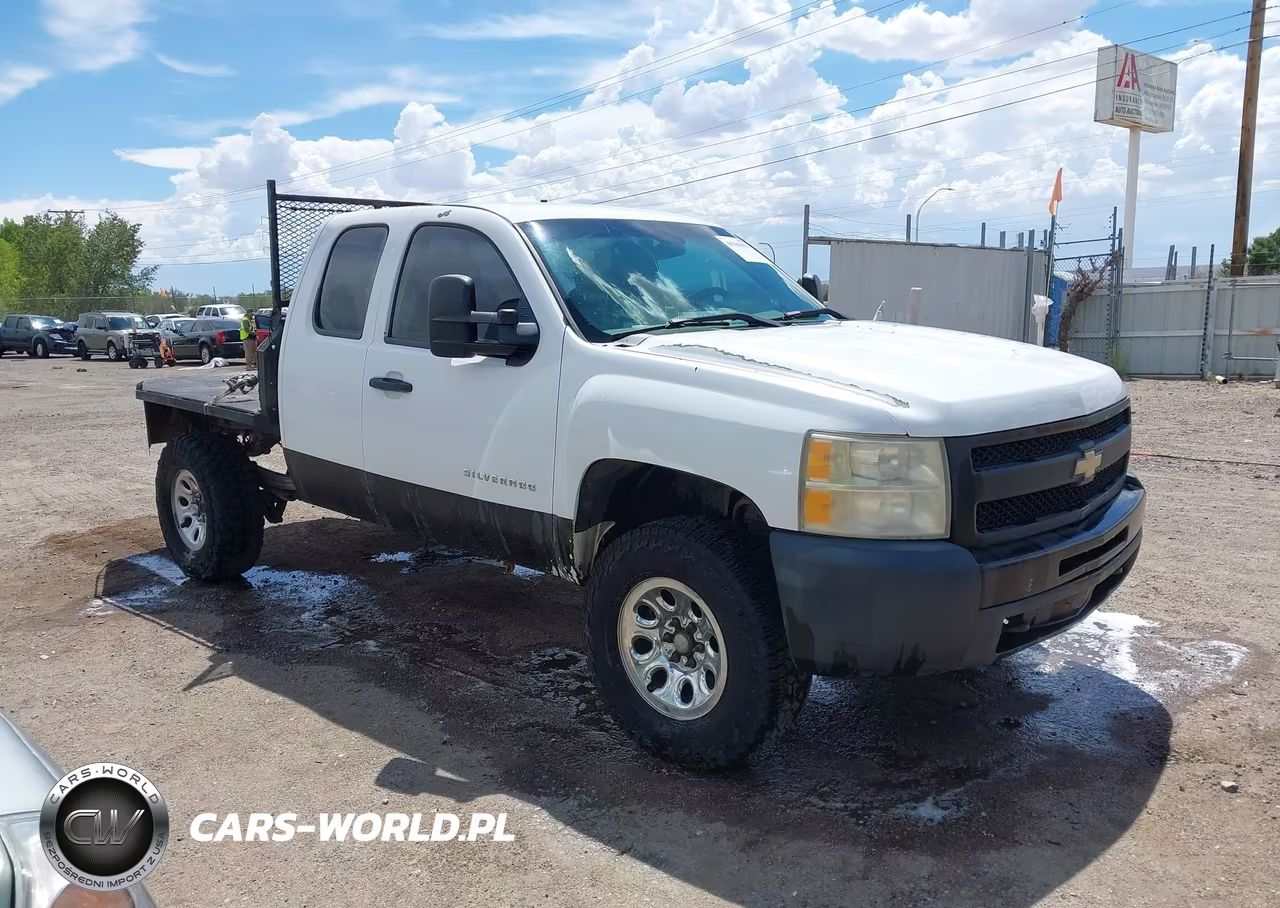 2010 Chevrolet Silverado 1500 Work Truck