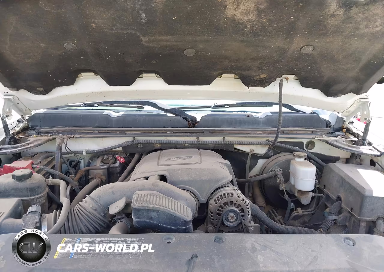 2010 Chevrolet Silverado 1500 Work Truck VIN:1GCSKPEAXAZ241543 - 10