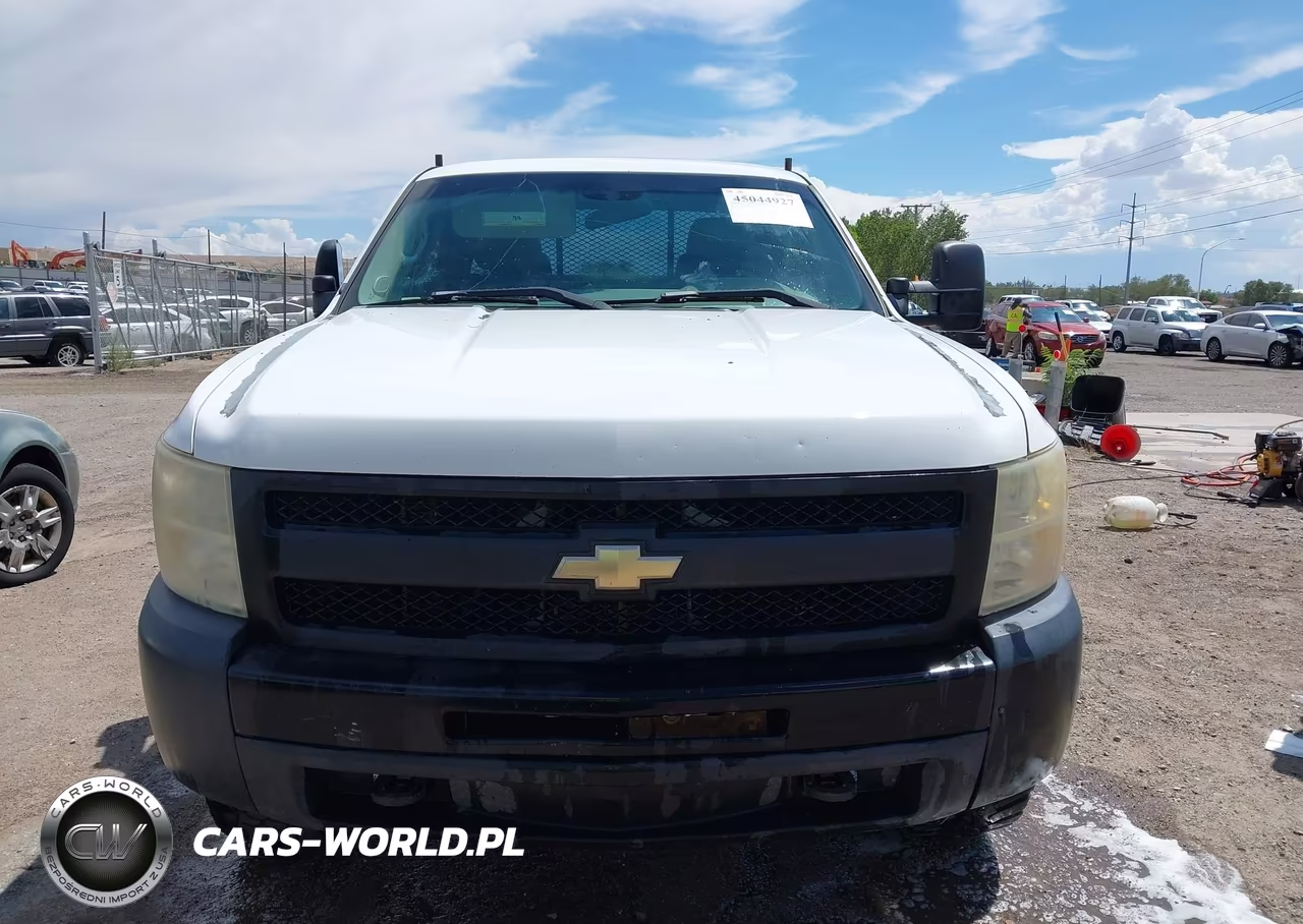2010 Chevrolet Silverado 1500 Work Truck VIN:1GCSKPEAXAZ241543 - 12