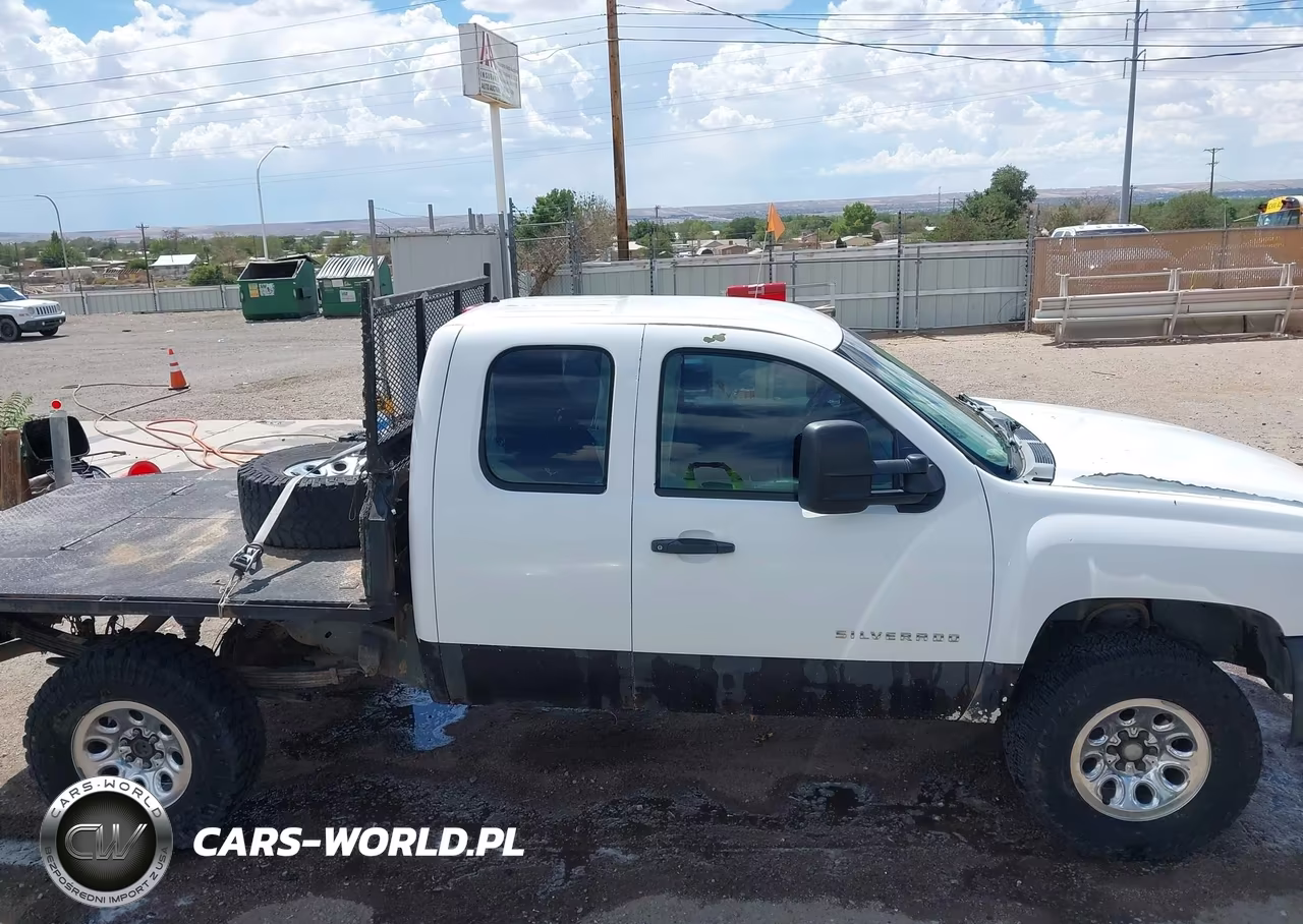 2010 Chevrolet Silverado 1500 Work Truck VIN:1GCSKPEAXAZ241543 - 13
