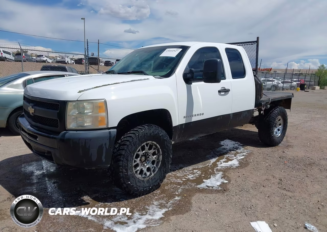 2010 Chevrolet Silverado 1500 Work Truck VIN:1GCSKPEAXAZ241543 - 2