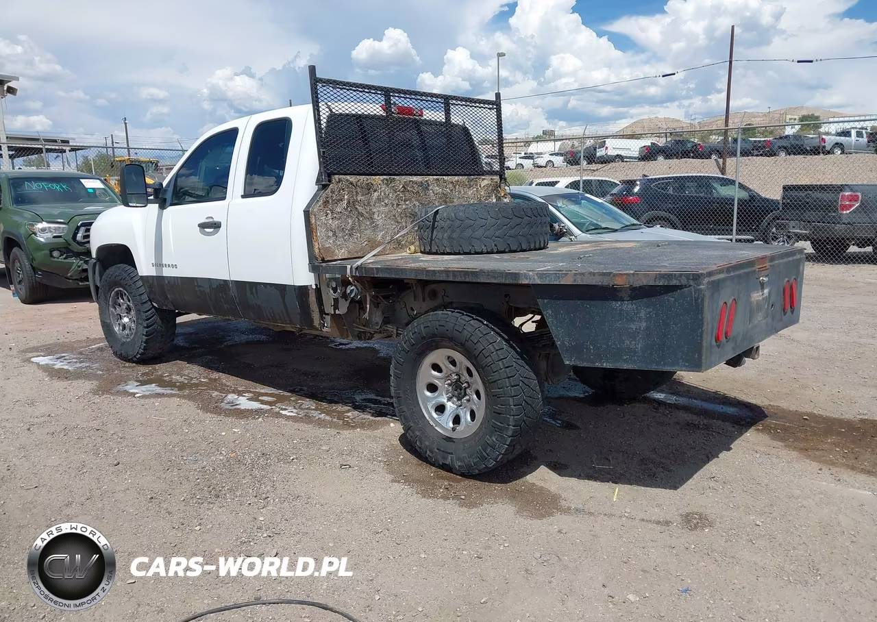 2010 Chevrolet Silverado 1500 Work Truck VIN:1GCSKPEAXAZ241543 - 3