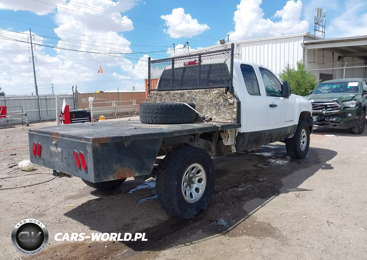 2010 Chevrolet Silverado 1500 Work Truck VIN:1GCSKPEAXAZ241543 - 4