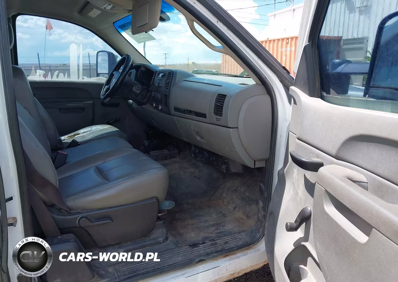 2010 Chevrolet Silverado 1500 Work Truck VIN:1GCSKPEAXAZ241543 - 5