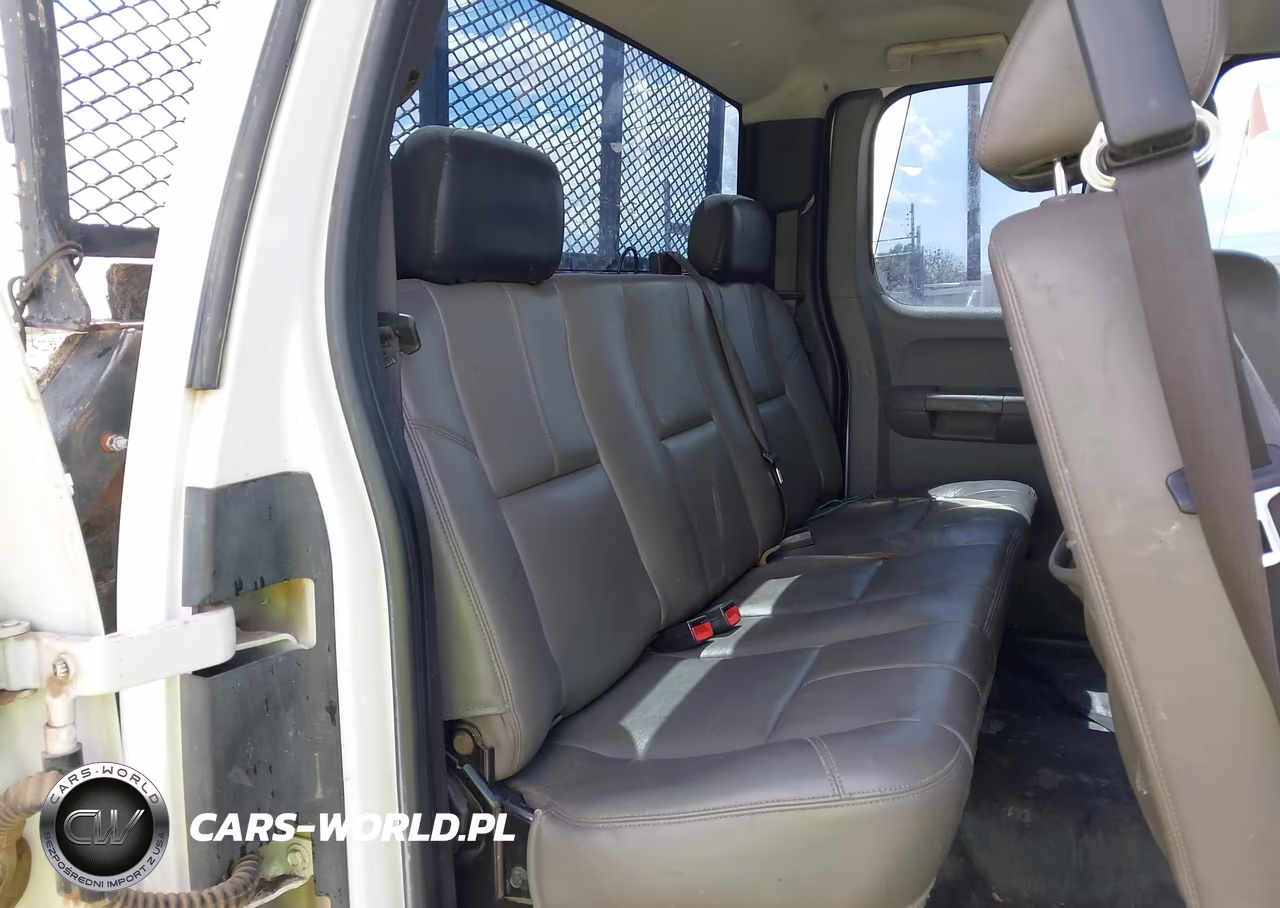 2010 Chevrolet Silverado 1500 Work Truck VIN:1GCSKPEAXAZ241543 - 8