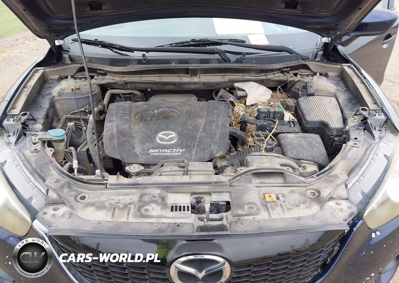 2014 Mazda Cx-5 Sport VIN:JM3KE2BE2E0350291 - 10