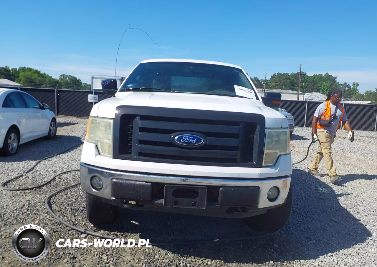 2009 Ford F-150 Fx4-Lariat-Xl-Xlt VIN:1FTPX14V89KA68375 - 12
