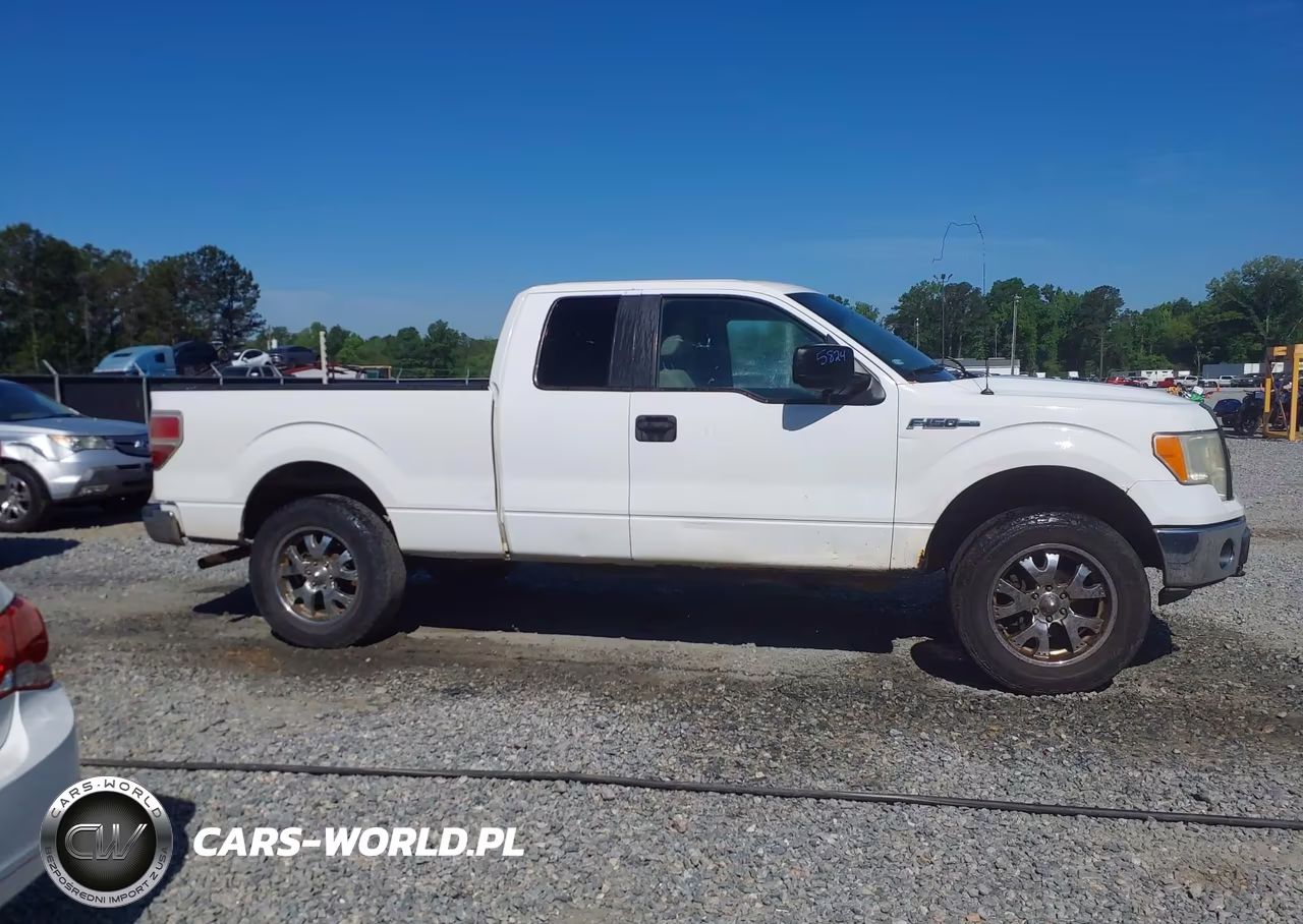 2009 Ford F-150 Fx4-Lariat-Xl-Xlt VIN:1FTPX14V89KA68375 - 13