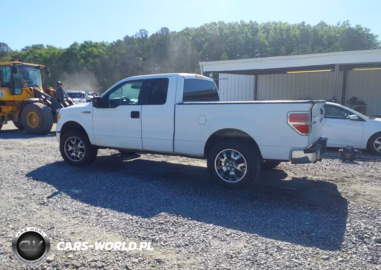 2009 Ford F-150 Fx4-Lariat-Xl-Xlt VIN:1FTPX14V89KA68375 - 14