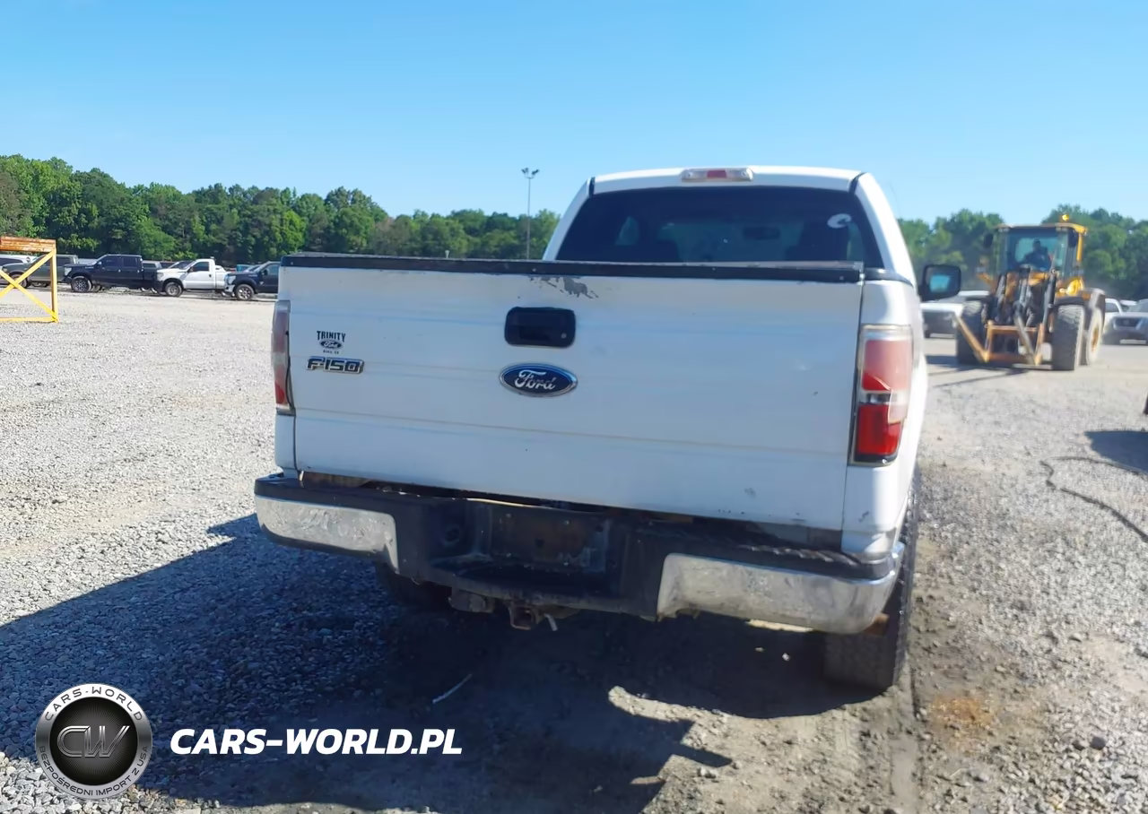 2009 Ford F-150 Fx4-Lariat-Xl-Xlt VIN:1FTPX14V89KA68375 - 16