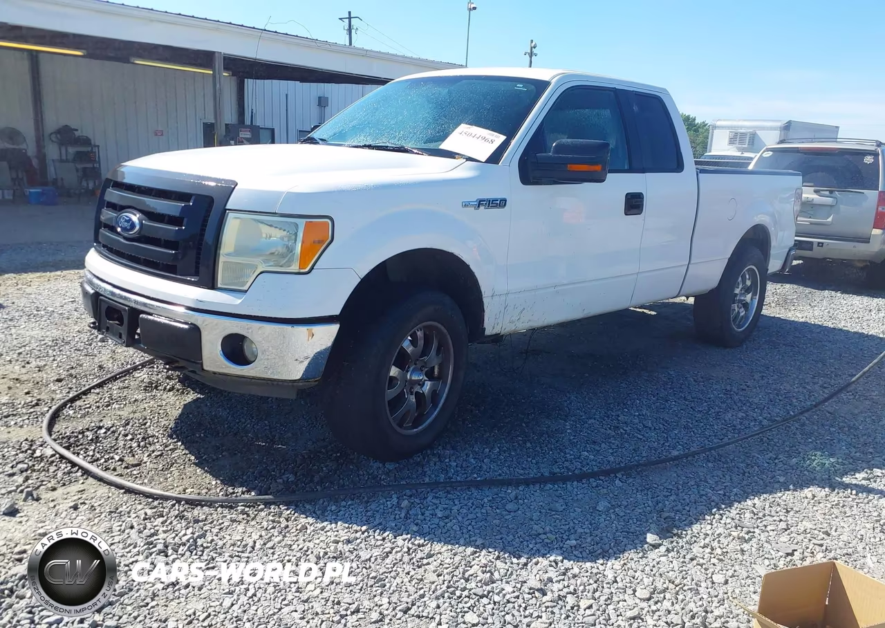 2009 Ford F-150 Fx4-Lariat-Xl-Xlt VIN:1FTPX14V89KA68375 - 2