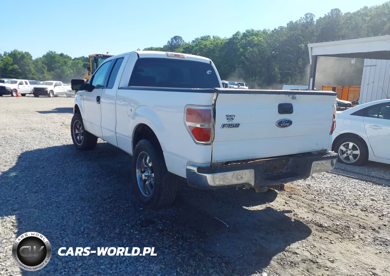 2009 Ford F-150 Fx4-Lariat-Xl-Xlt VIN:1FTPX14V89KA68375 - 3