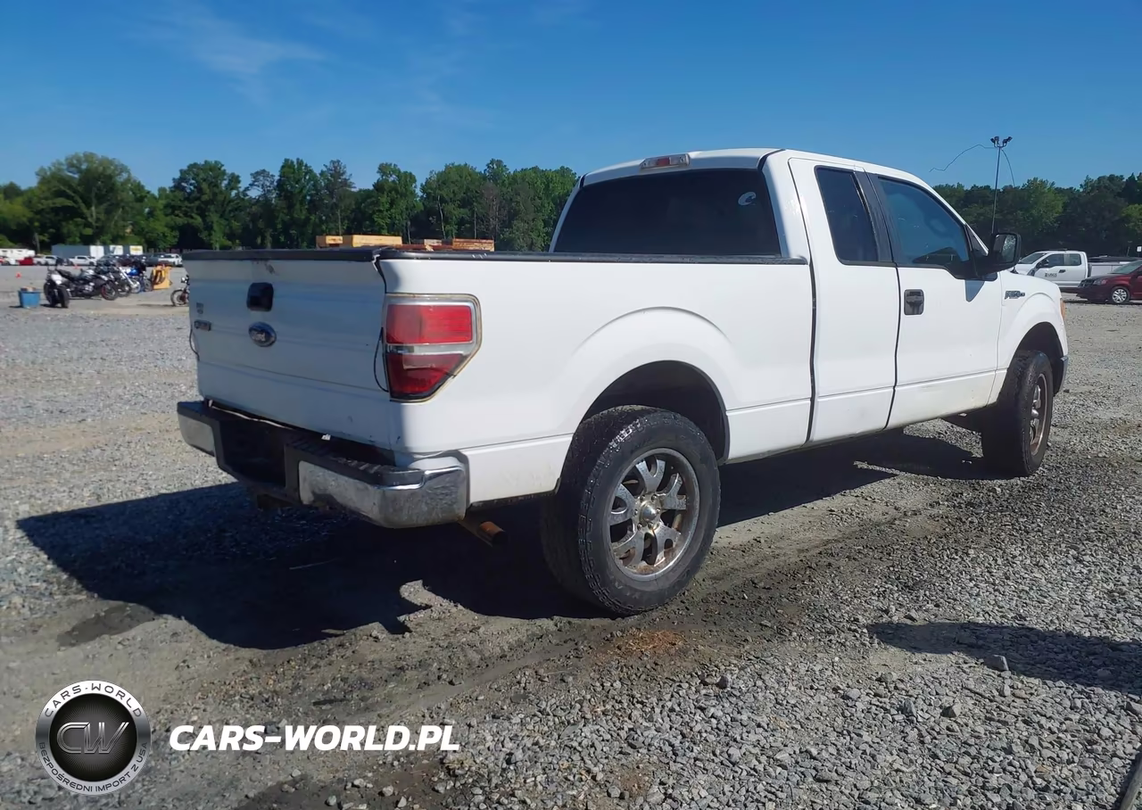 2009 Ford F-150 Fx4-Lariat-Xl-Xlt VIN:1FTPX14V89KA68375 - 4