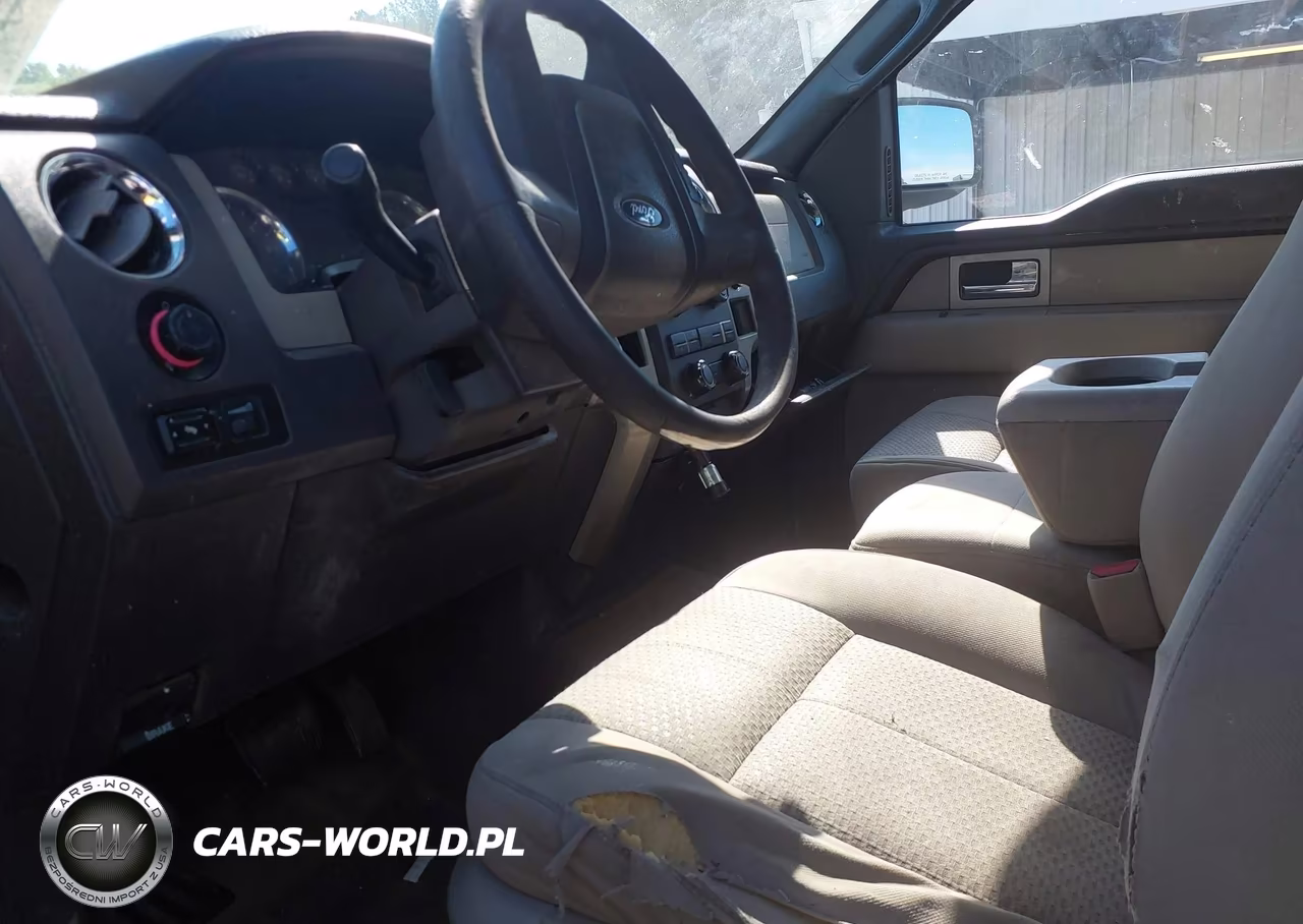 2009 Ford F-150 Fx4-Lariat-Xl-Xlt VIN:1FTPX14V89KA68375 - 5