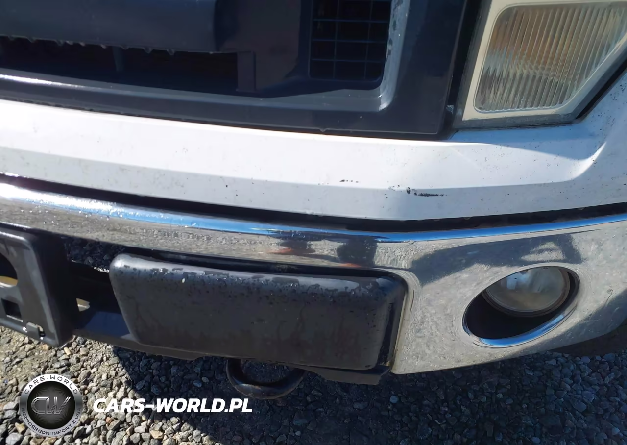 2009 Ford F-150 Fx4-Lariat-Xl-Xlt VIN:1FTPX14V89KA68375 - 6