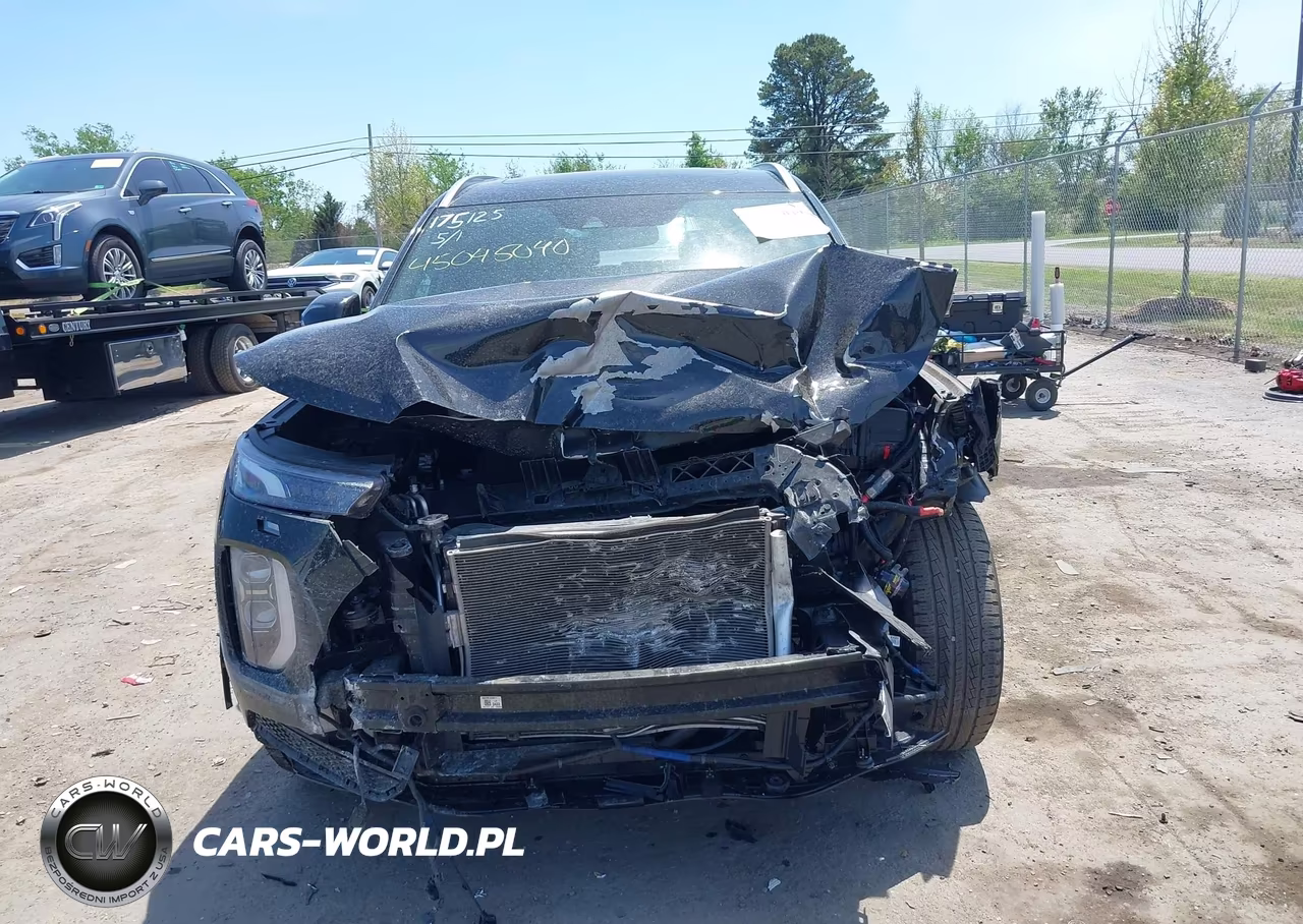 2021 Hyundai Palisade Calligraphy VIN:KM8R7DHE7MU195342 - 12