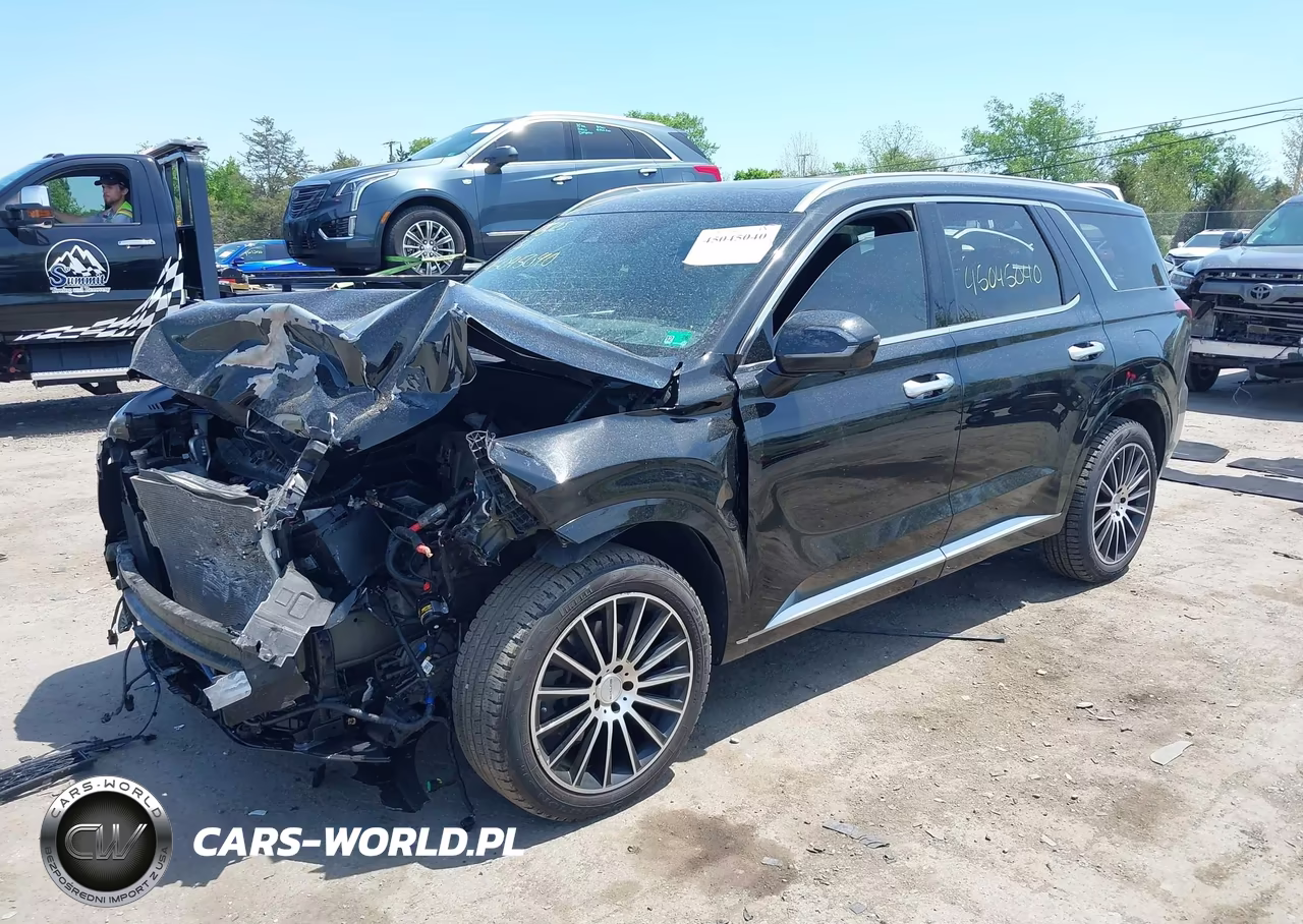 2021 Hyundai Palisade Calligraphy VIN:KM8R7DHE7MU195342 - 2